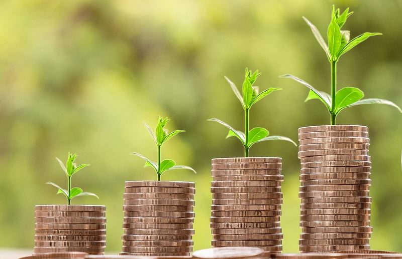 Stacks of coins with plants growing on them
