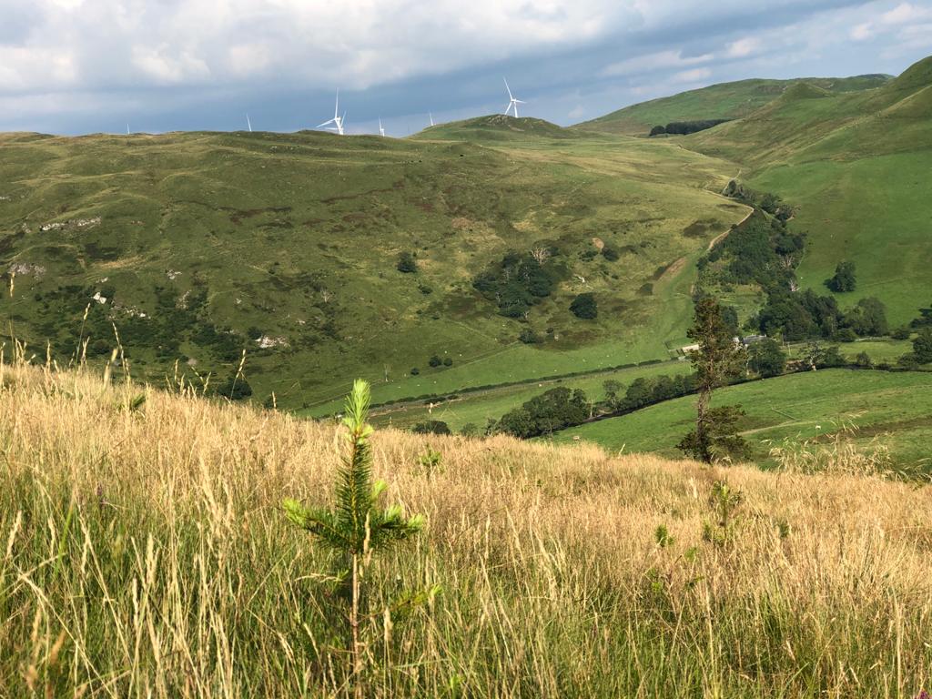Landscape surrounding Bennan Hill
