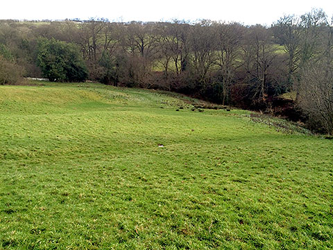 Benson Wood site image2 2015 Copyright Edenviro