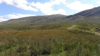 Glen Lochay Planting 350