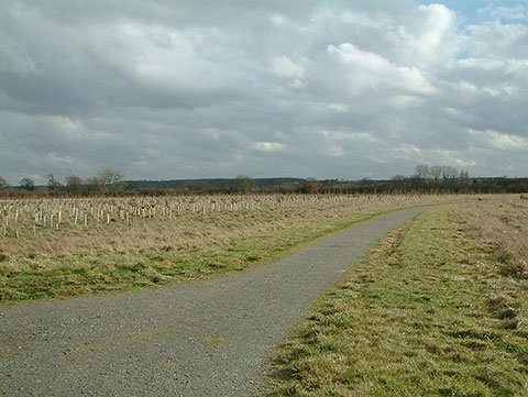 Forest of Marston Vale landscapephoto date FOMVcopyright