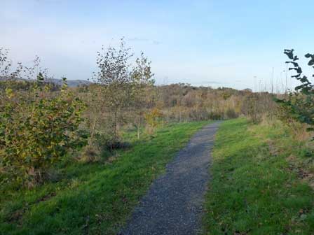 Minnowburn new path date nationaltrustcopyright