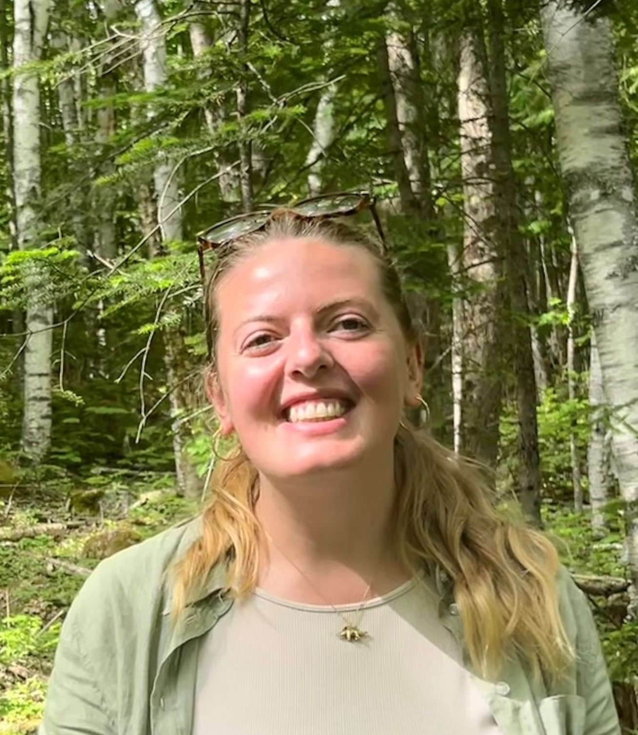 Aythya in front of trees