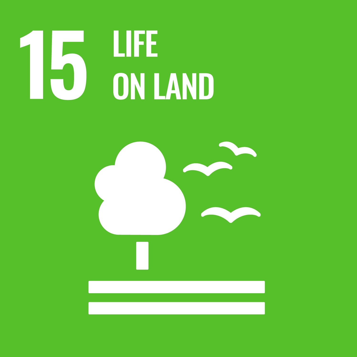Goal 15 tile - a green square with a tree and birds