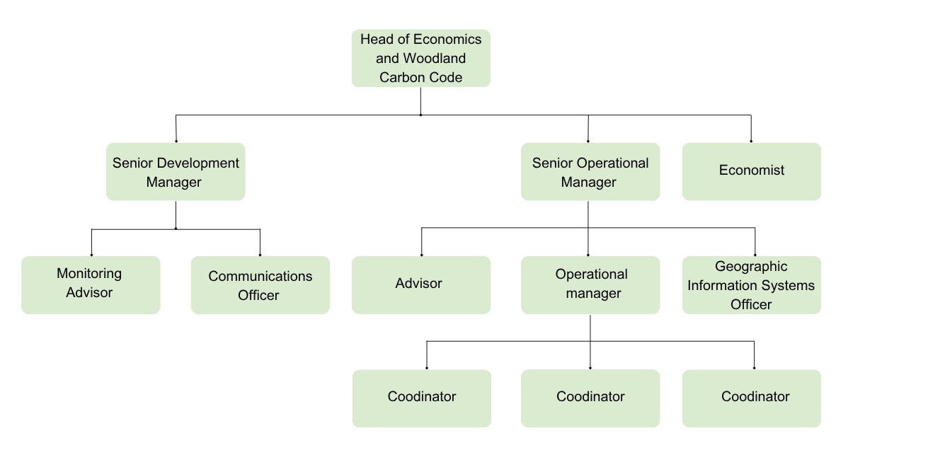 A hierarchy diagram showing the Woodland Carbon Code team reporting into the senior operational manager and senior development manager who report to the head of the code.