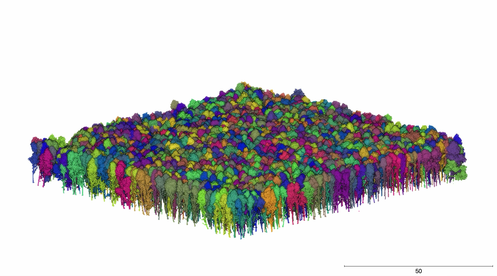 lidar image of woodland