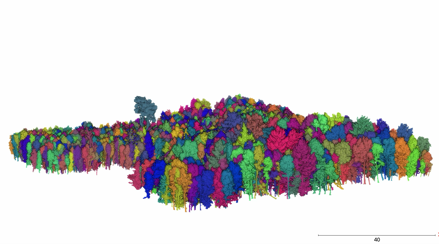 lidar imagery of a woodland